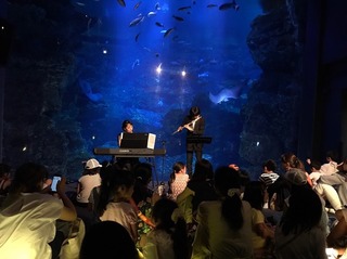 20190807kyotoaquarium2.jpg