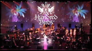 AHBO2013.jpg